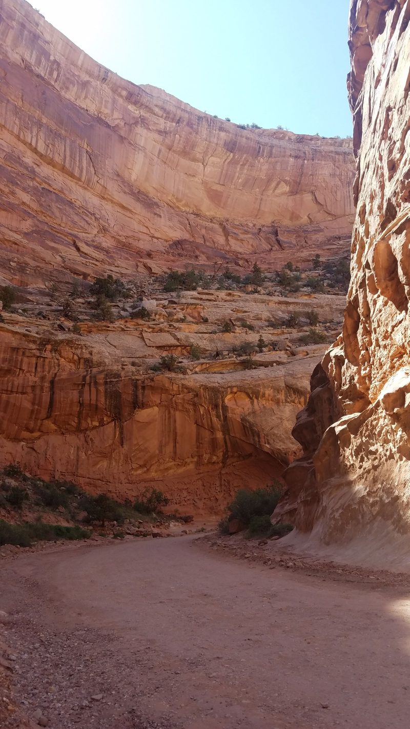 Illustration for article titled Capitol Reef - A not overlanding post